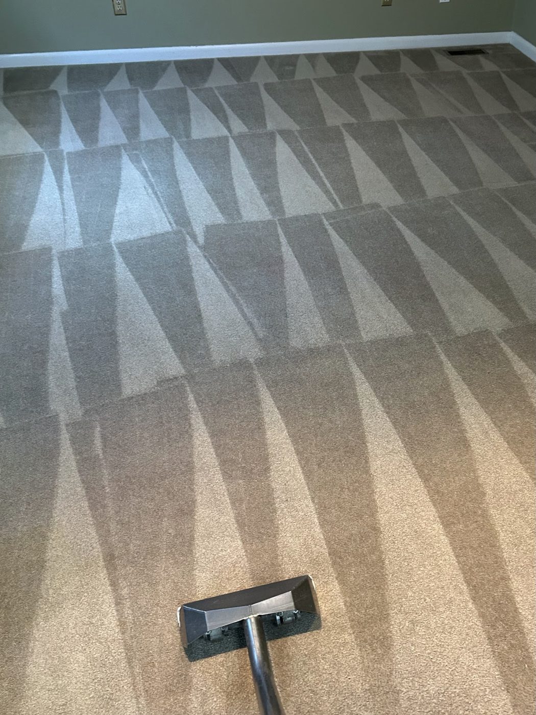 Freshly cleaned carpet with extraction lines